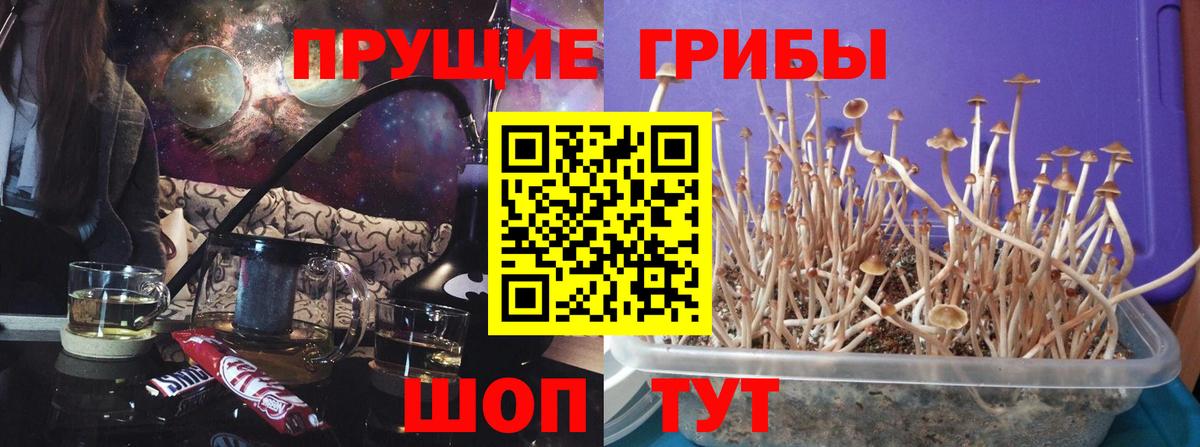 Псилоцибиновые грибы MAGIC MUSHROOMS Лыткарино